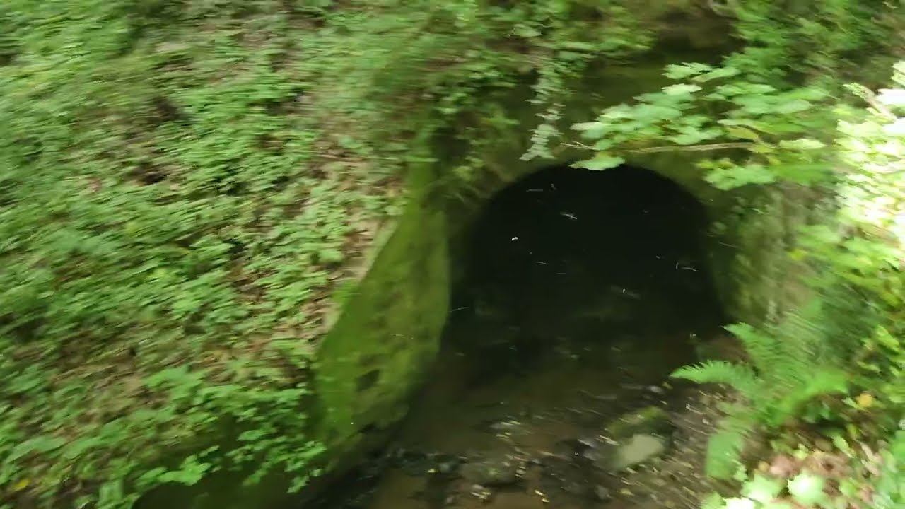 Wolfsschlucht Part 2 - Tönissteiner Bach - Bierkeller - Schlucht - Andernach Eifel - 35 Grad Celsius