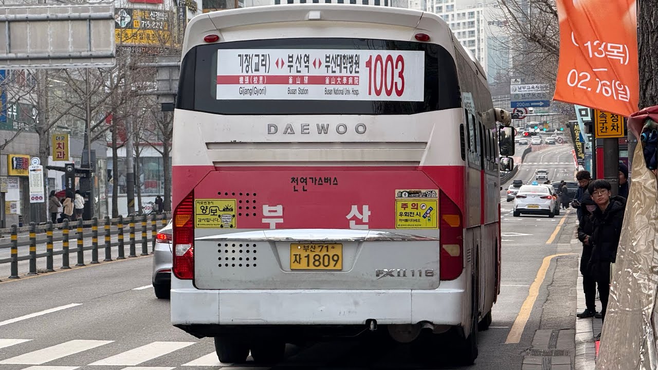 [현재는 대차] 부산1003번 14년식(1809) 주행영상 (부산여객 14년식 전멸)