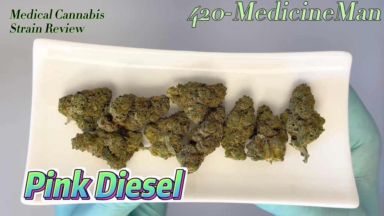 🌳 Aurora Pedanios 31/1 PND-CA aka Pink Diesel | Med. Cannabis #StrainReview | 420-MedicineMan