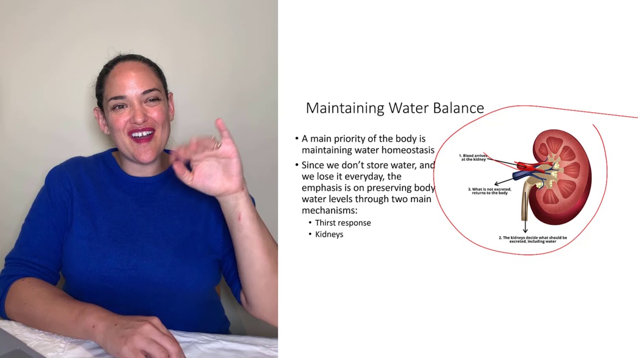 Water Balance