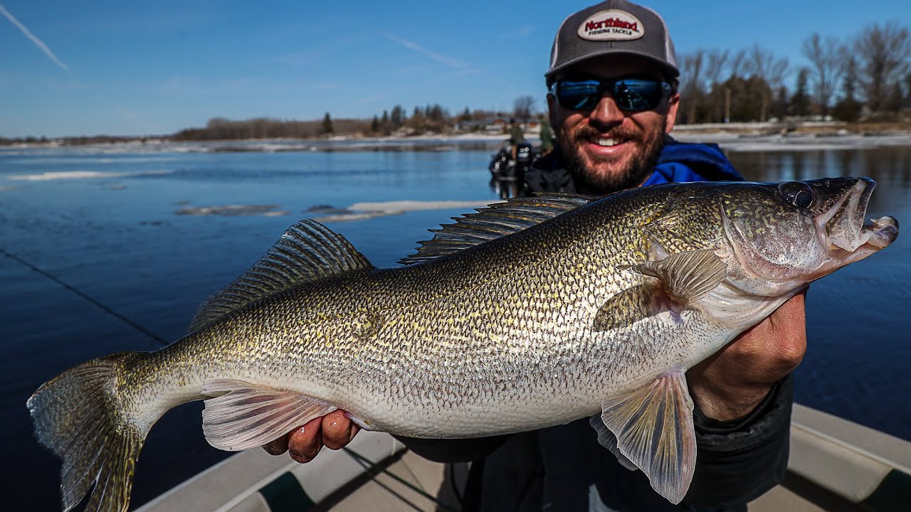 Walleye and Sturgeon Fishing on the Rainy River (Biggest Fish Of Our Lives!)