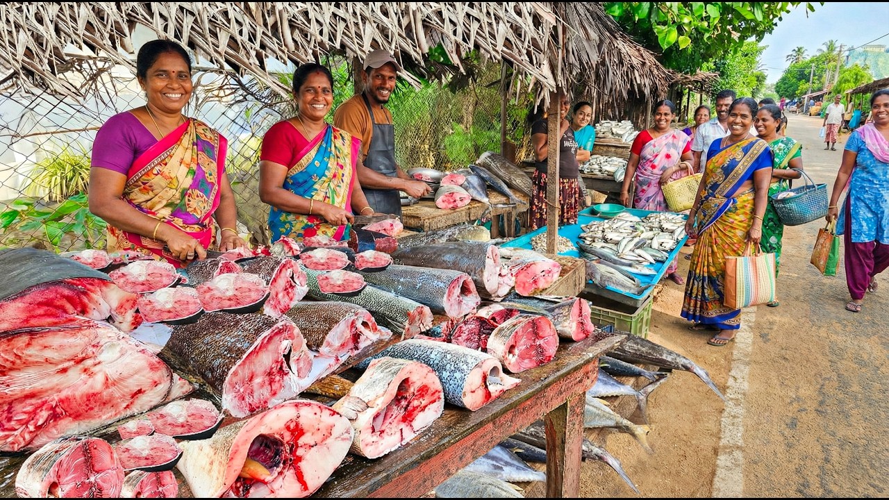 Wow! Village Market's Silent Partners Sri Lanka's Traditional Fish Vendors Life