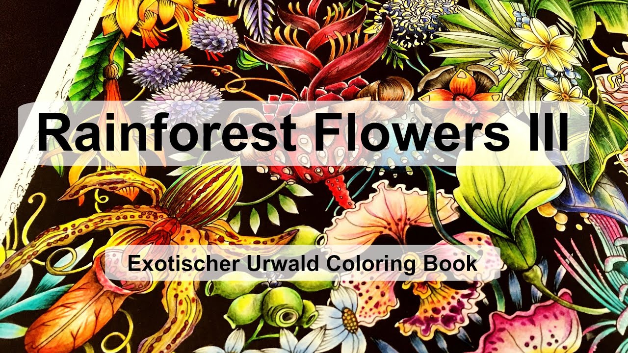 Rainforest Flowers III | Adult coloring book: Exotischer Urwald (Exotic Jungle)