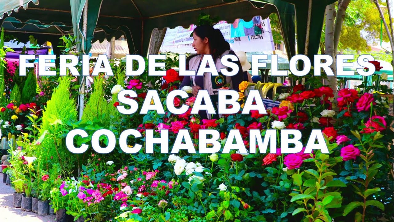 FERIA DE LAS FLORES SACABA, COCHABAMBA - BOLIVIA