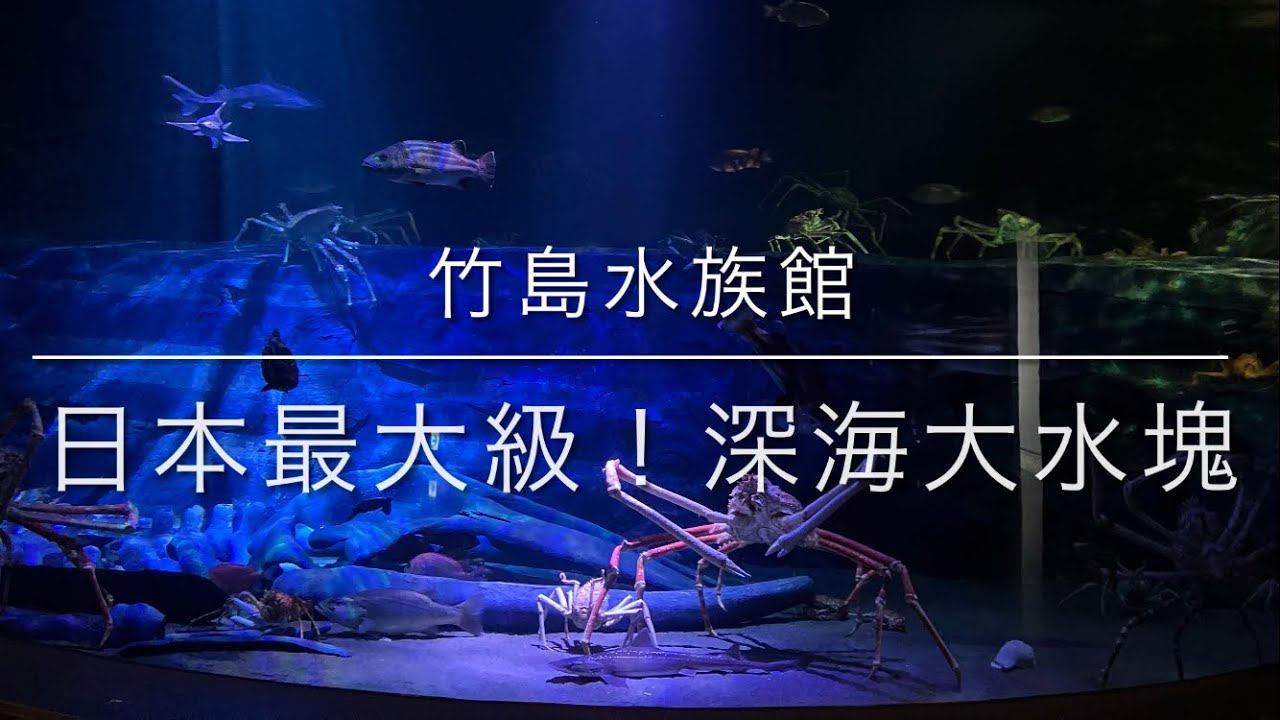 令和8年3月18日　竹島水族館　その1   日本最大級！深海大水塊、深海ゾーン