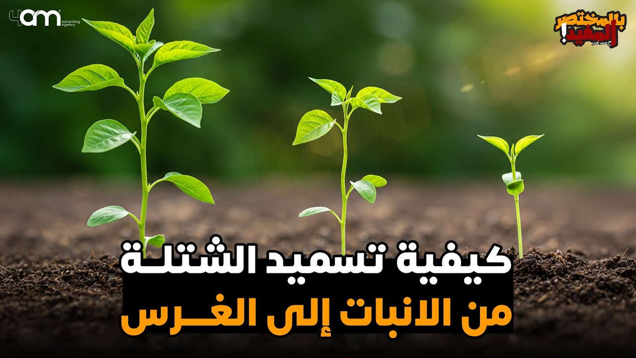 كيفية تغذية الشتلات حتى نقلها إلى الارض المستديمة ( تسميد - مكافحة - ري )