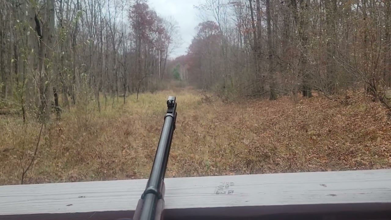 15 November '25 morning hunt vlog 
