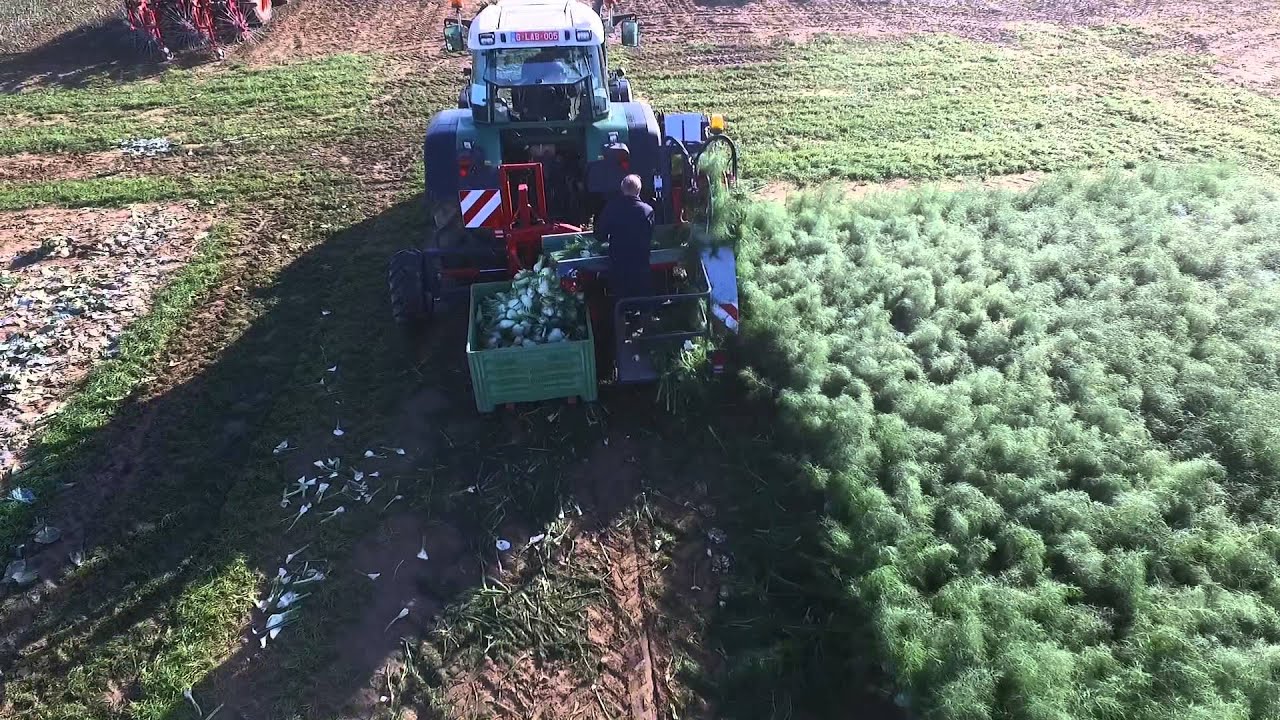 Venkelrooier 2015 - Fennel harvester 2015 - Arracheuse de fenouil 2015 - Fenchel rooier 2015
