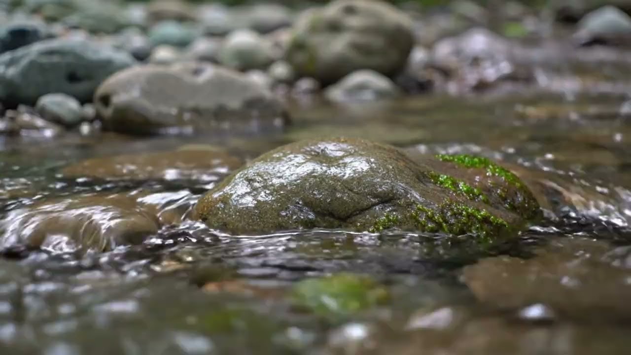 Forest Creek in Winter (1 Hour) 4K🌲❄️ | Calming Water Sounds for Deep Sleep, Meditation & Relaxation