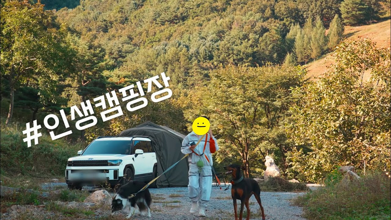 역대급으로 쏟아지는 별, 반려견과 함께하는 인생캠핑장ㅣ평창 산너미목장ㅣ에어노크10.0st 차량도킹