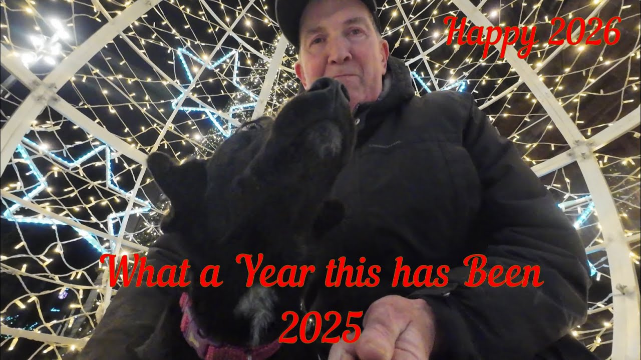 What A Year This Has Been - 2025