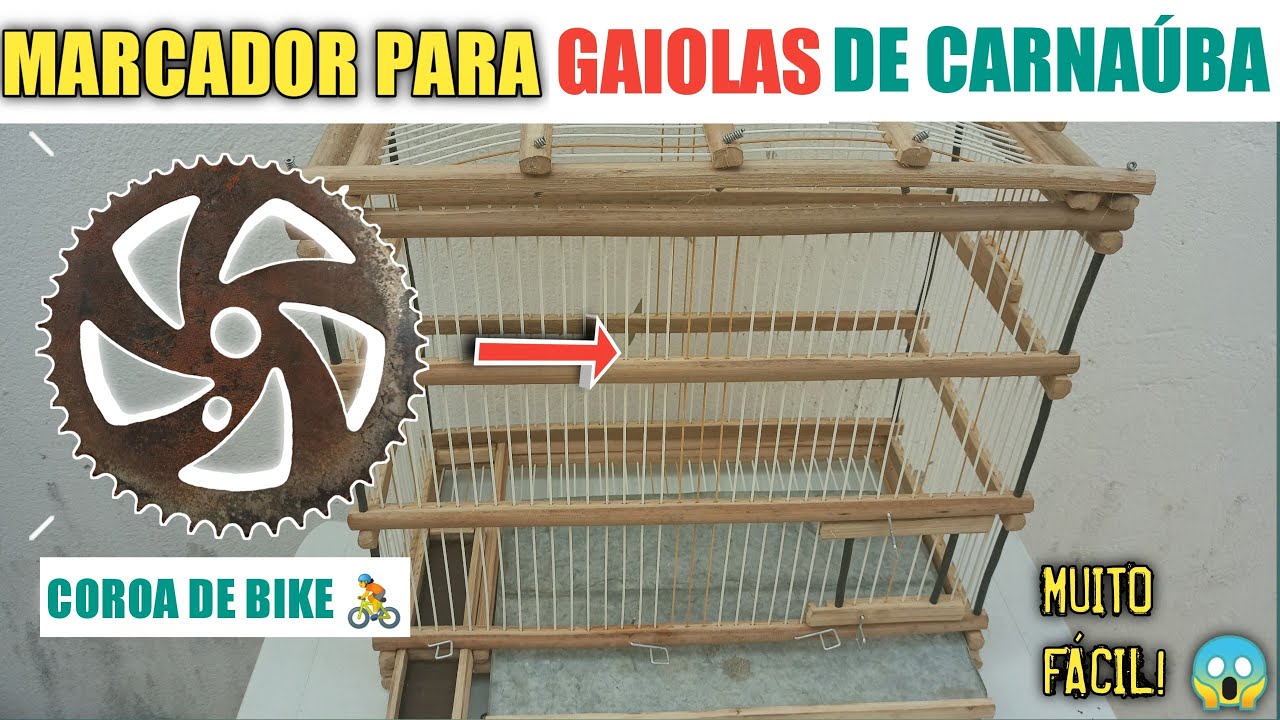 Como marcar talo de carnaúba | para gaiolas artesanais.