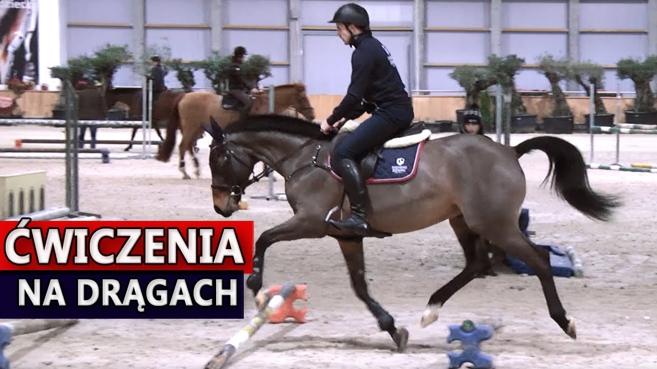 Ćwiczenia na drągach - jazda konna. Do czego potrzebne?