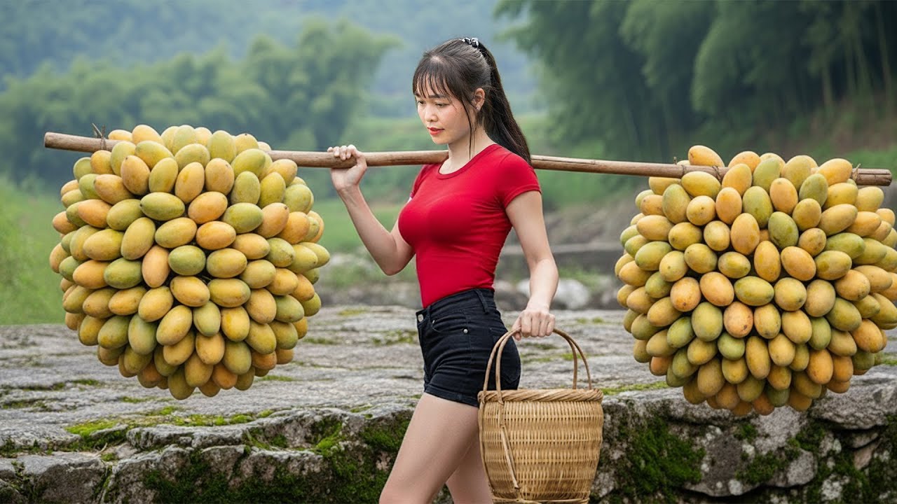 Harvest 1000kg of green Thai mango - Selling mango at the market - How to make mango salad