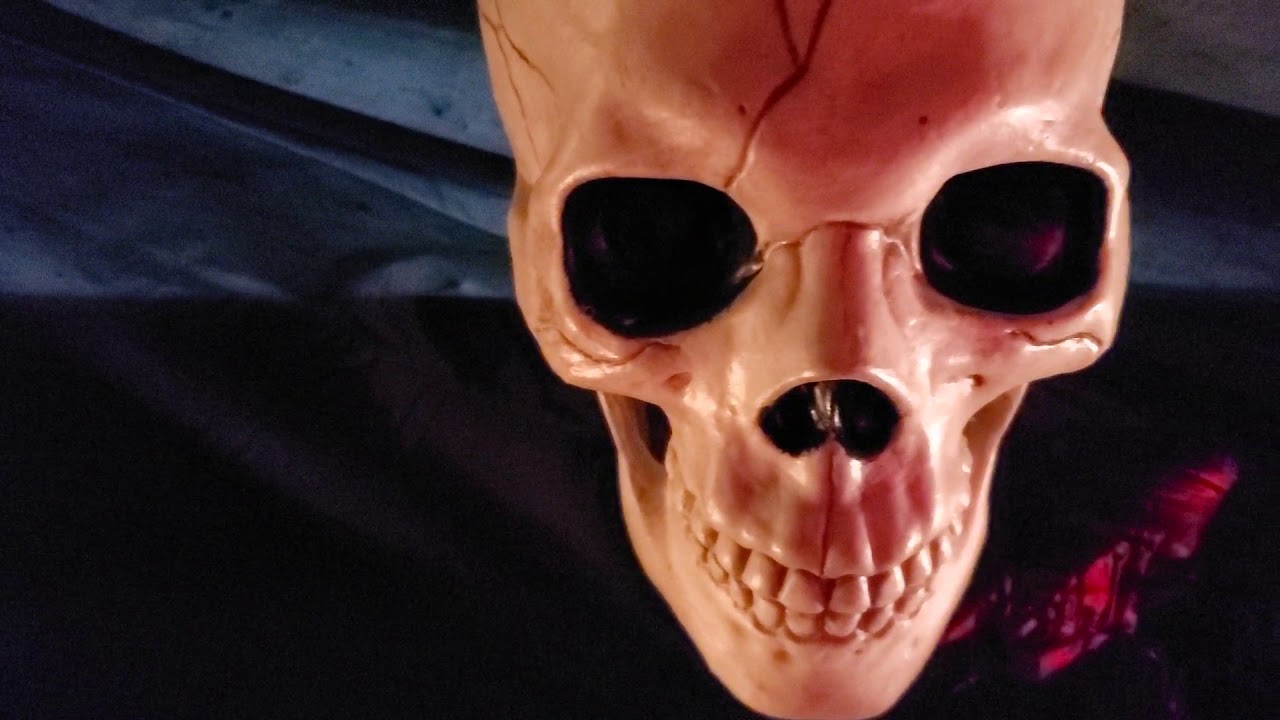 Welcome to the Museum of Phobias!