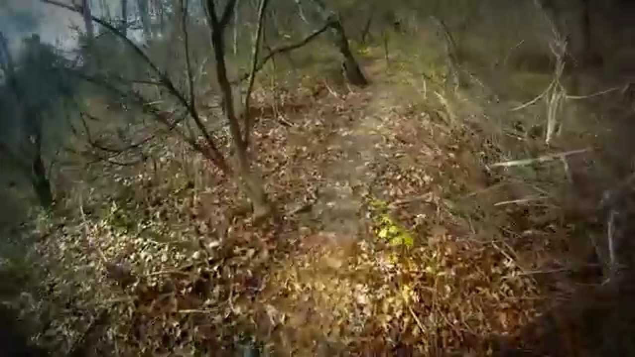 Stillwell Woods Blue to Red Trails