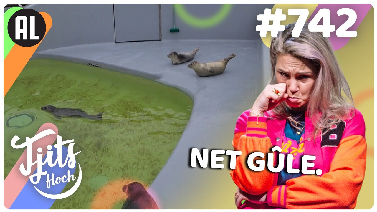 HUILEN op TEXEL (Ecomare)// Tjits Vlog #742
