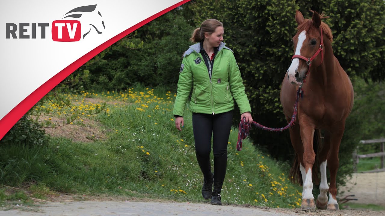 Homestory | Zu Besuch bei REITTV-Teamreiterin Steffi Rauter