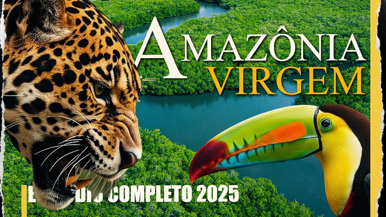 AMAZ&Ocirc;NIA SELVAGEM: Os Mist&eacute;rios Incr&iacute;veis da Vida na Maior Floresta do Mundo | Document&aacute;rio Completo