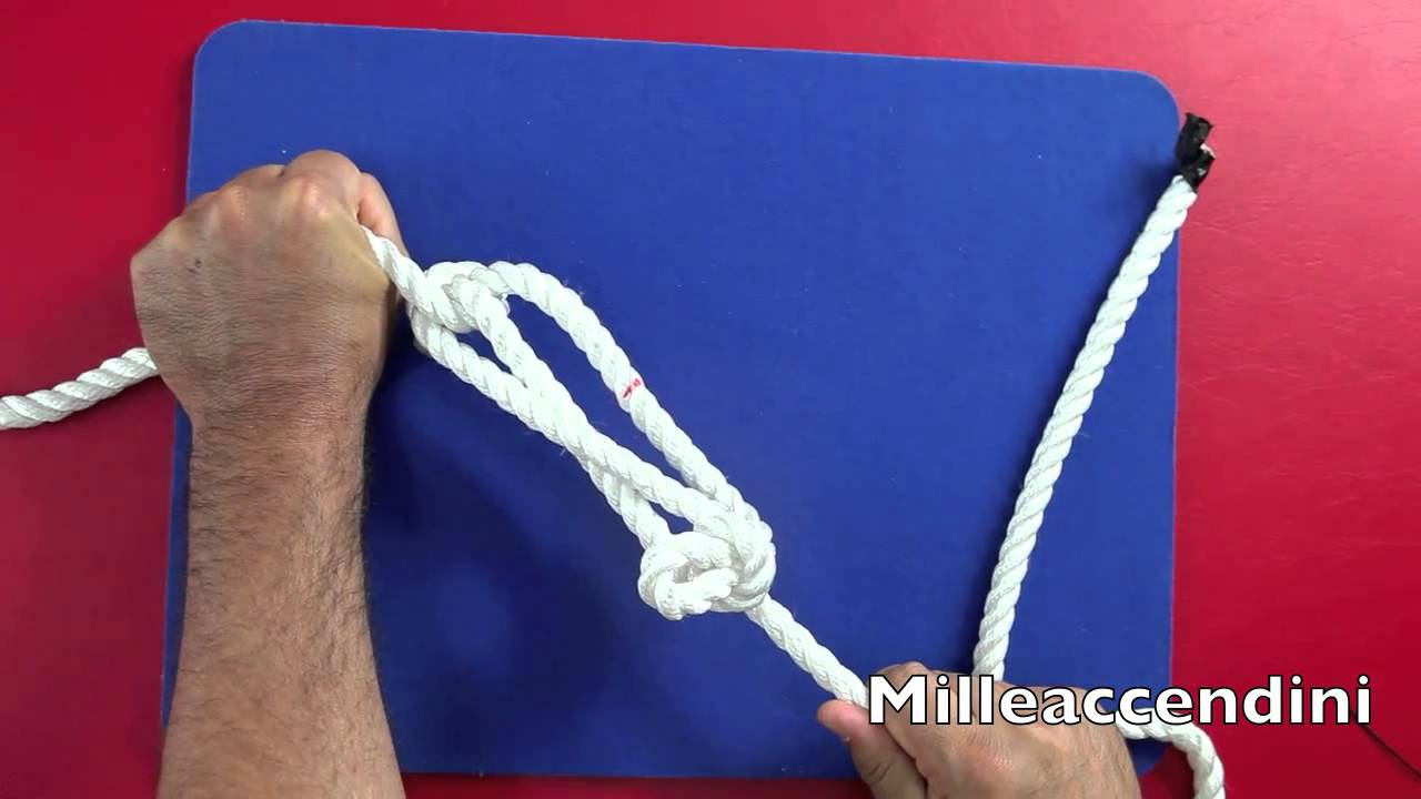knot Nodo margherita