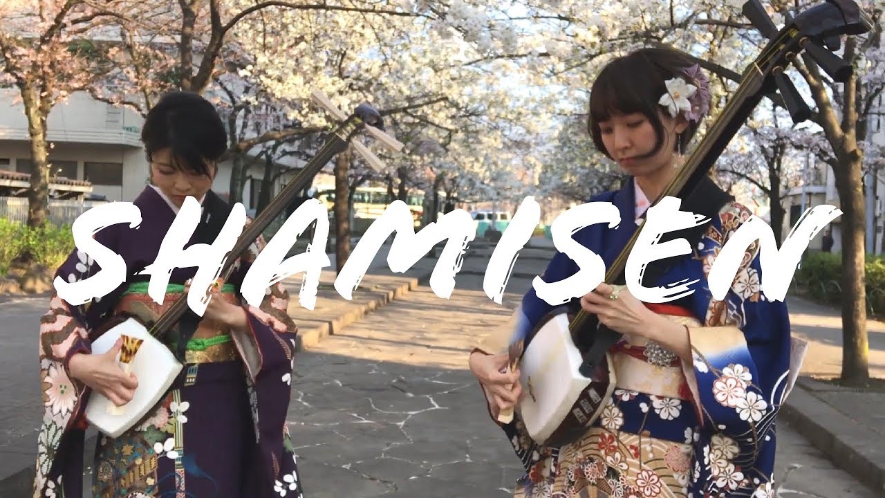 What is a Shamisen? 三味線とは？