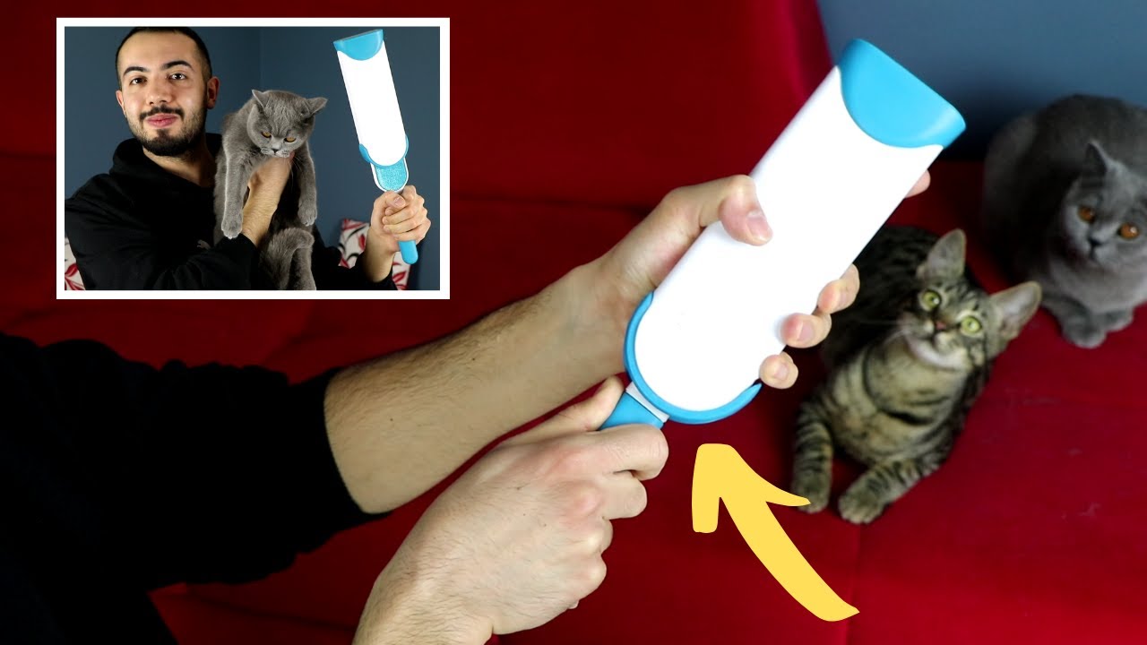 KEDİ KÖPEK TÜY TOPLAMA APARATI İNCELEMESİ!