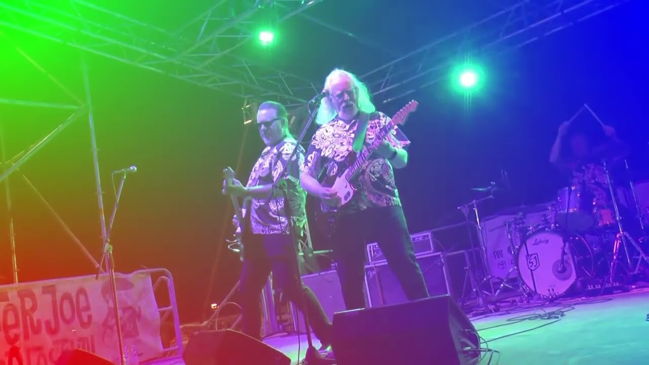 THE SURFARIS LIVE  Surfer Joe Summer Festival 2023