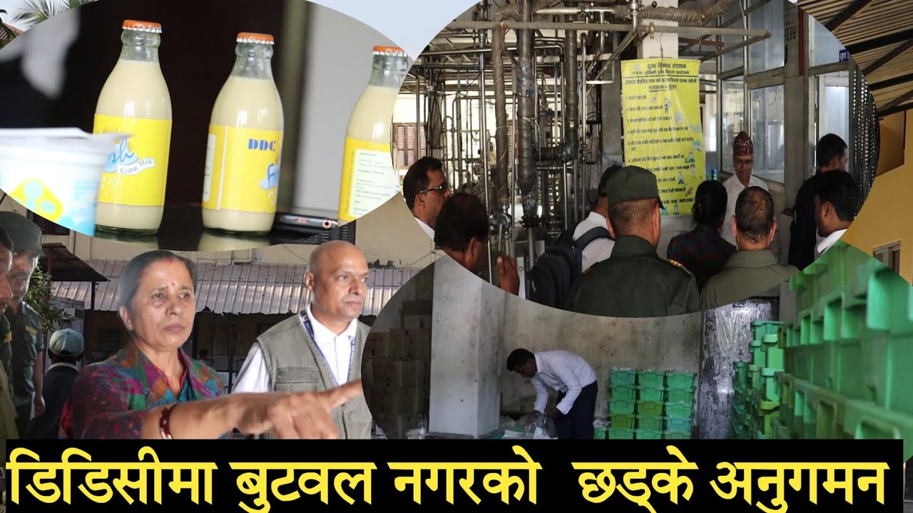 डिडिसीको फ्याक्ट्रीमा बुटवल नगरको छड्के अनुगमन butwal news update // ddc milk factory in nepal