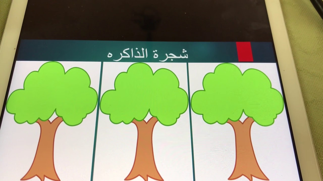 استراتيجية شجرة الذاكره✨أمل بنت حصه