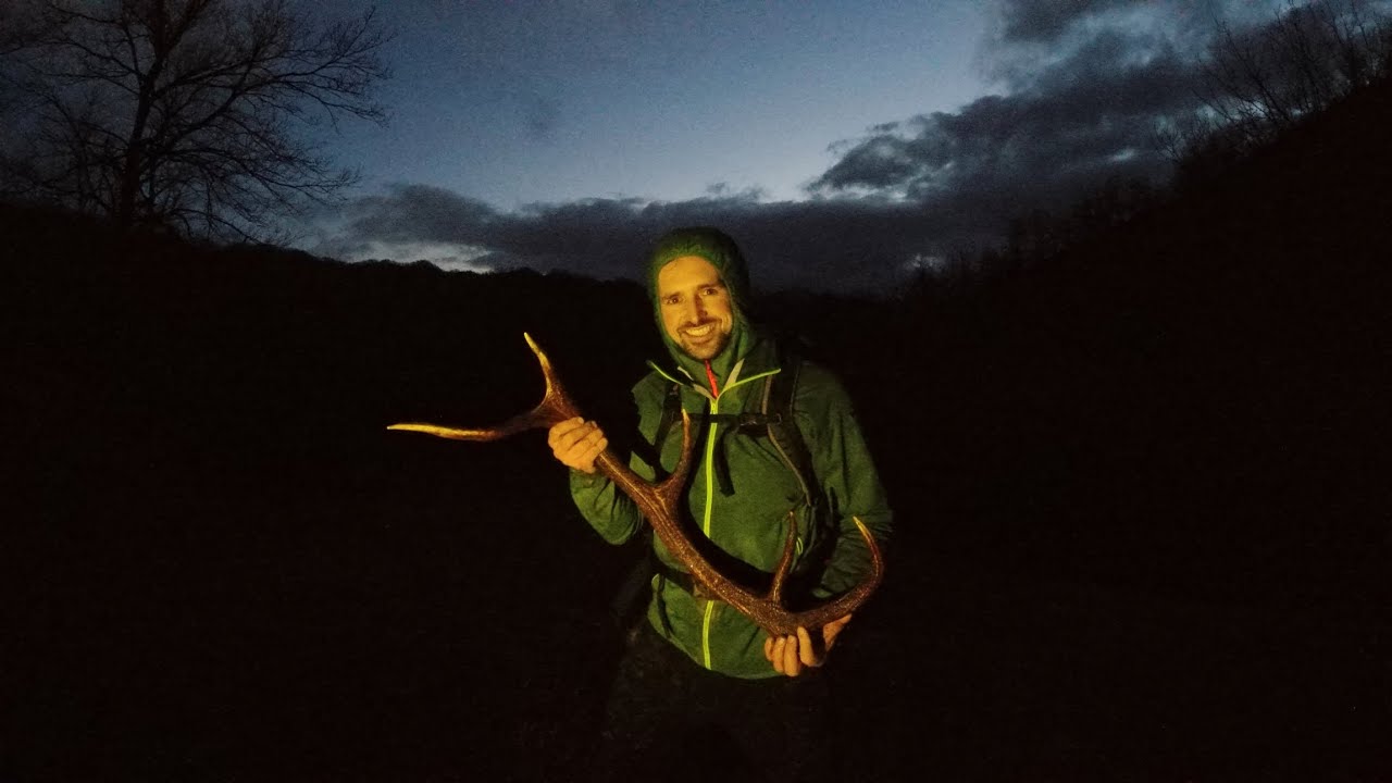 Cercando PALCHI di CERVO dispersi fra pioggia e nebbia!