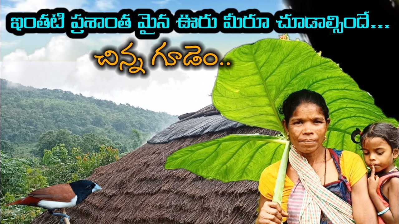 పెద్ద కొండల మధ్య చిన్న ఊరు..          ముని ఆశ్రమ జీవనం   | కొండ చేను మకాం అదిరింది..#Mylu Rams