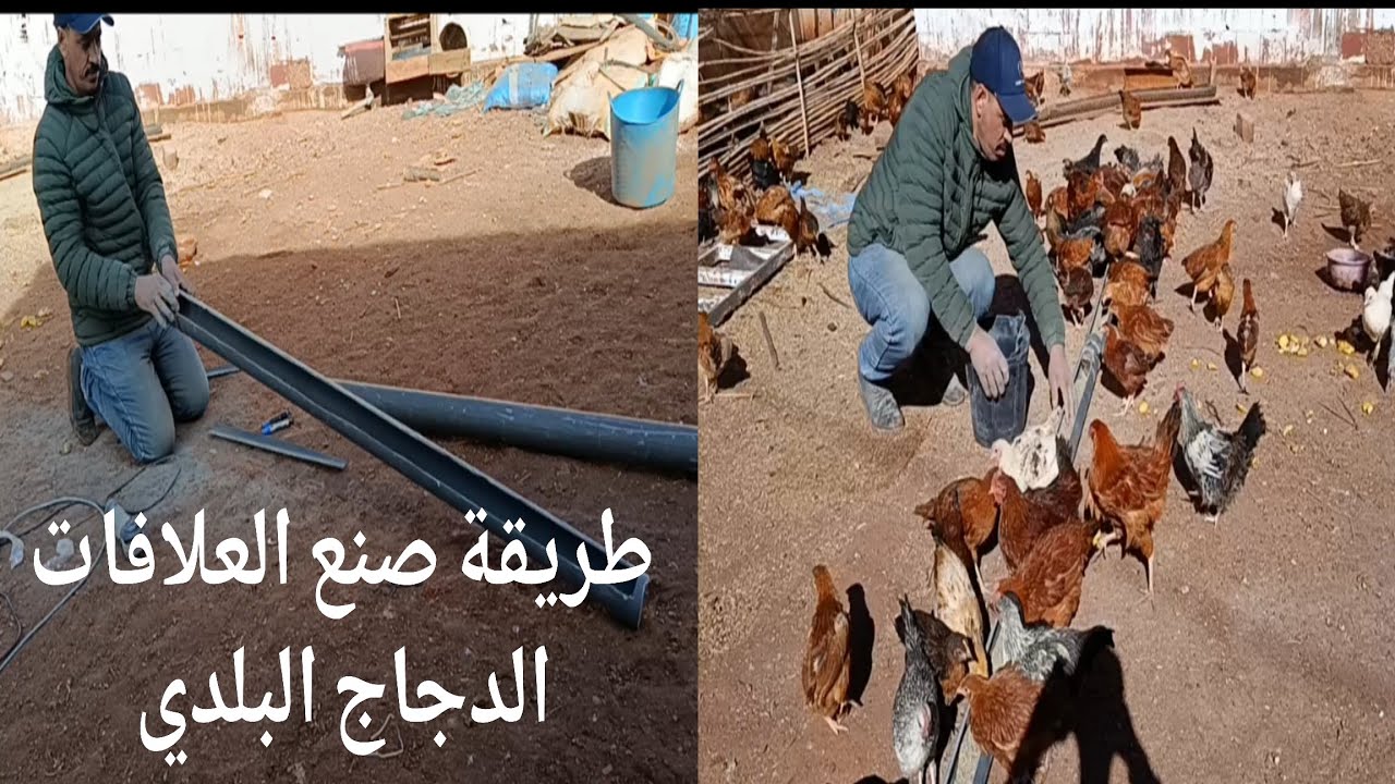 طريقةعمل معلف للطيور بطريقة سهلة وغير مكلفة