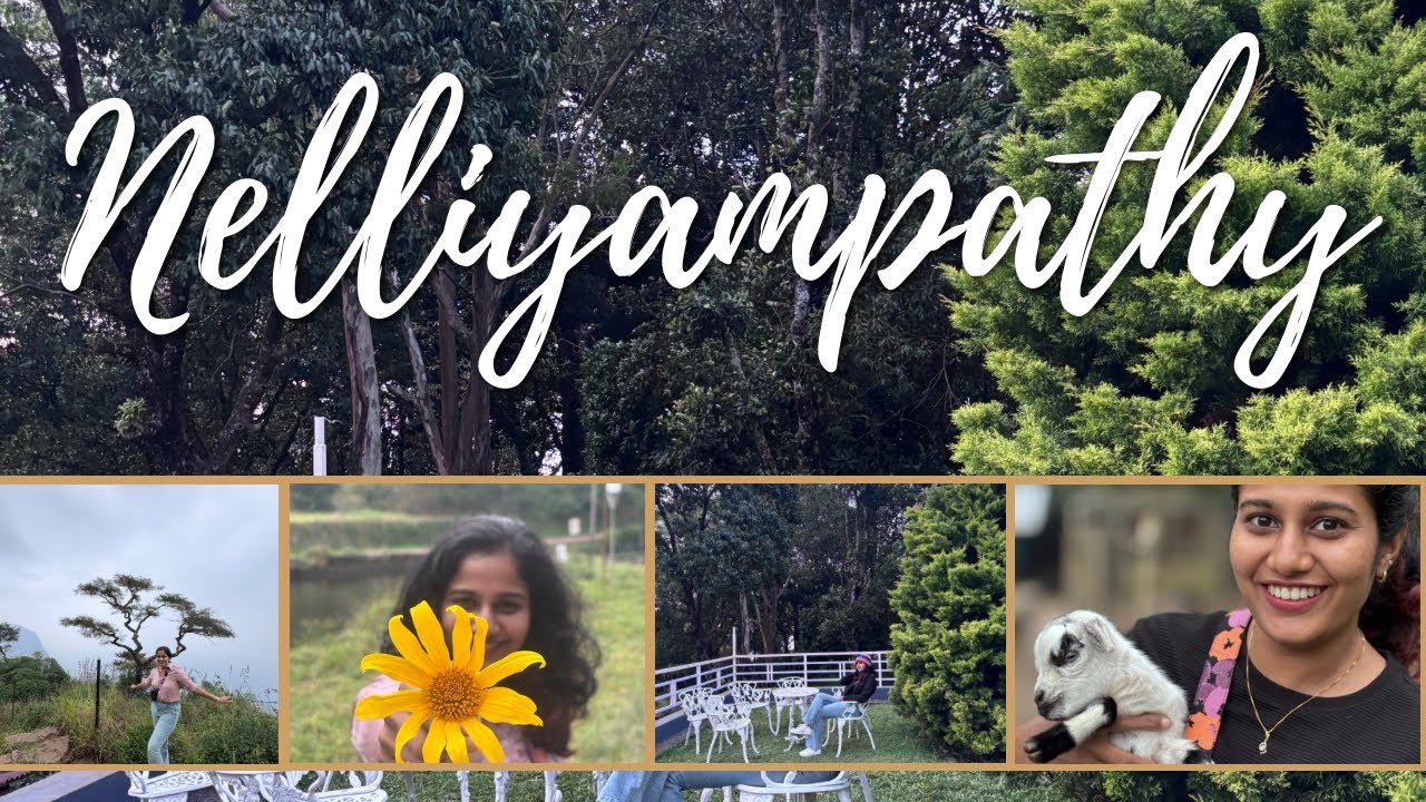 A day in Nelliyampathy #nelliyampathy #nelliyampathi #trending #viral #travelvlog #travel #traveling