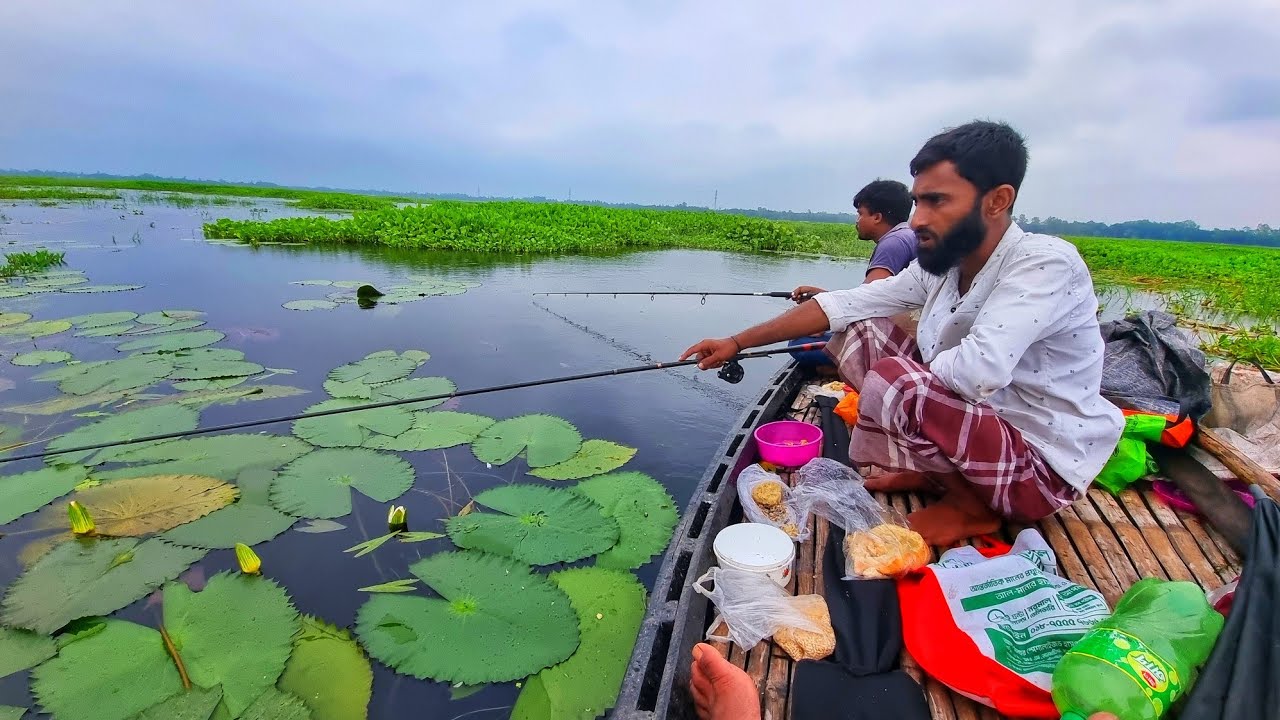পাবনা শাপলা বিলে রুই মাছ ধরলাম 🎣🎣 শাপলা বিলে রুই মাছ শিকার | Fishing Video |  Fishing BD Fast Tv  