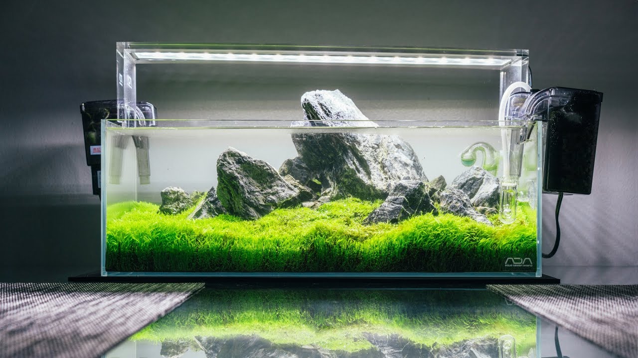 ADA 45f Dry Start Method Setup