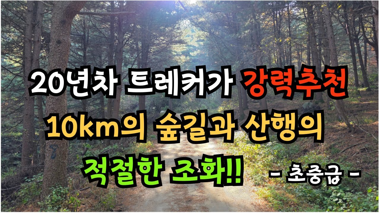 20년차 트레커가 강력추천 하는곳 / 10km의 숲길과 산행의 적절한 조화 / 초중급 / 초보등산