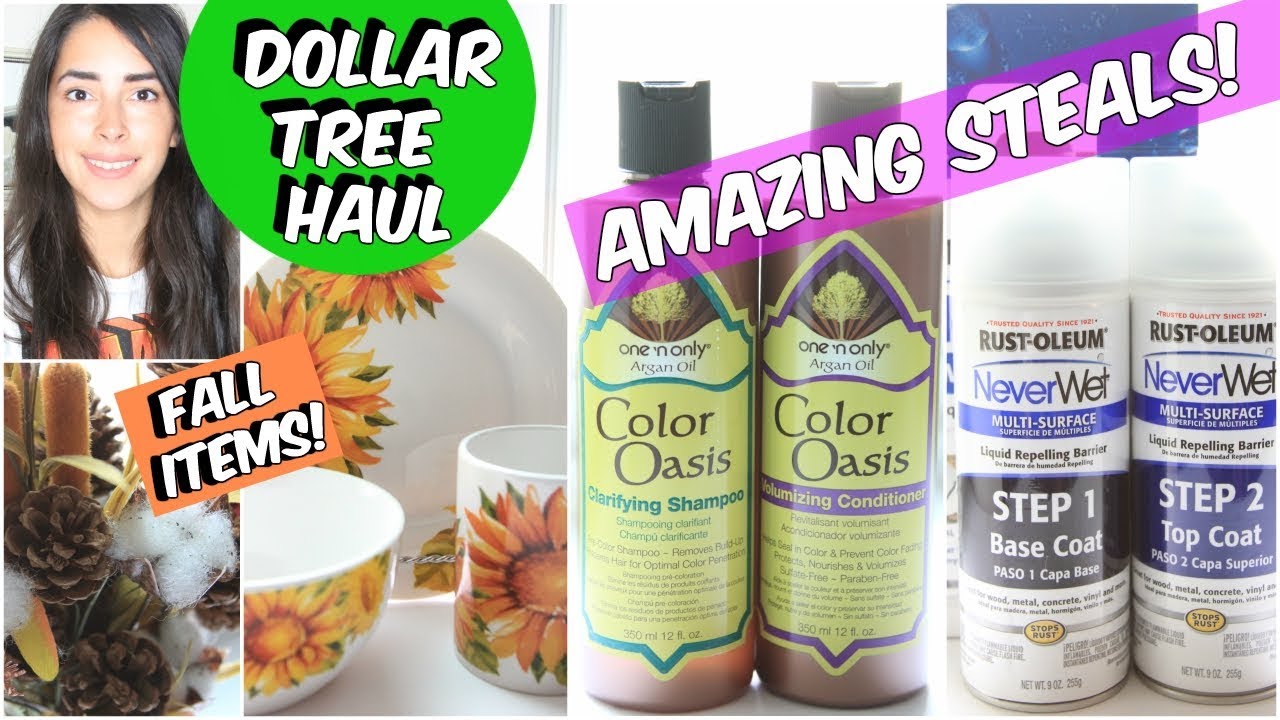 DOLLAR TREE HAUL SUMMER JUNE 2018