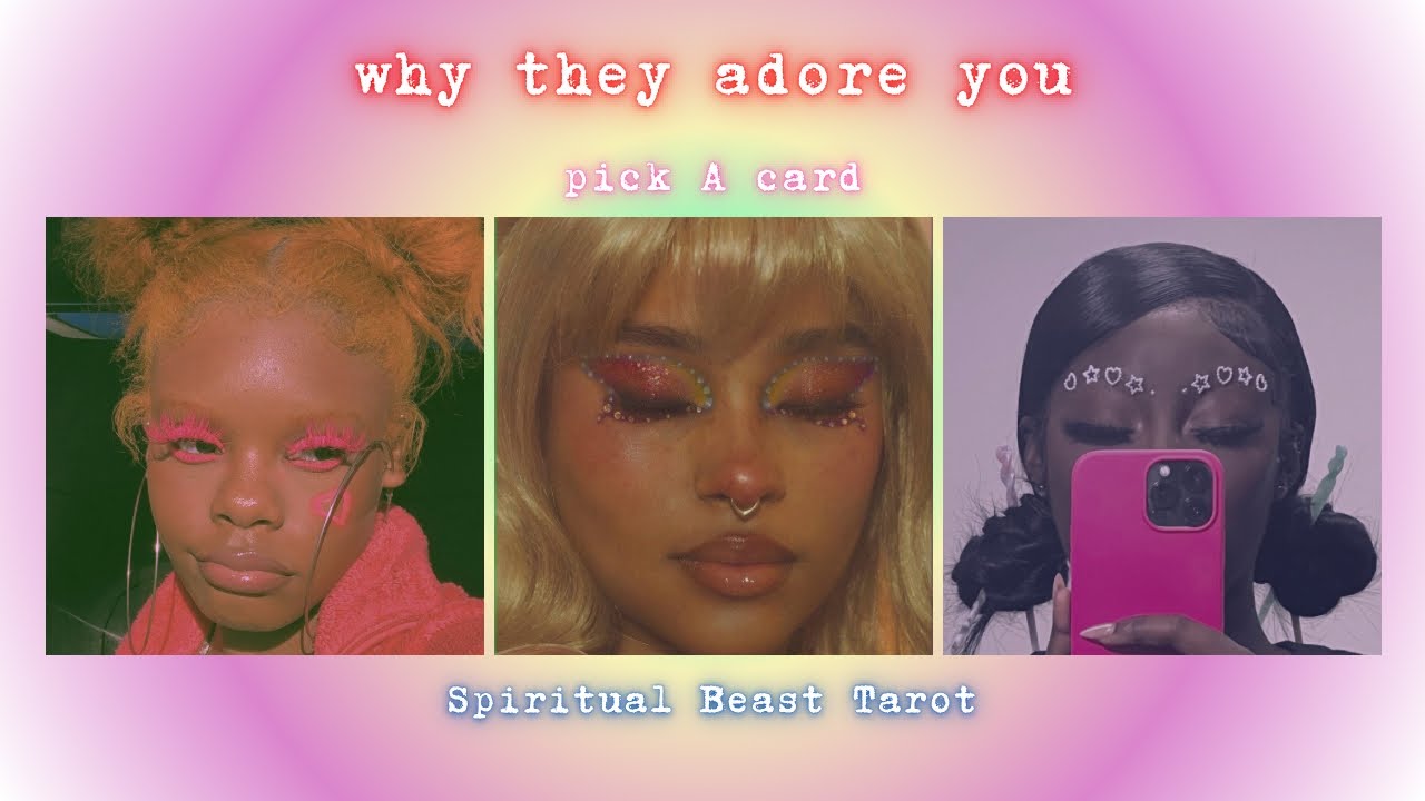 pick a card | why they adore you