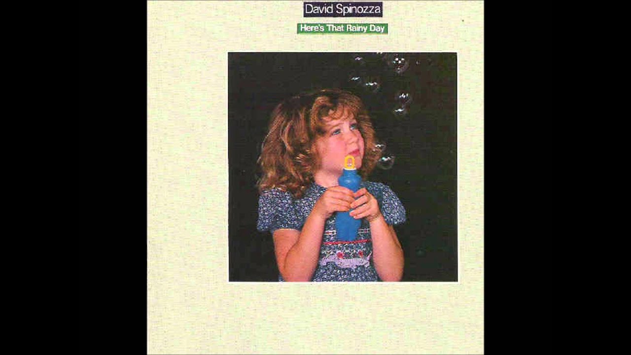 David Spinozza - You Are The One