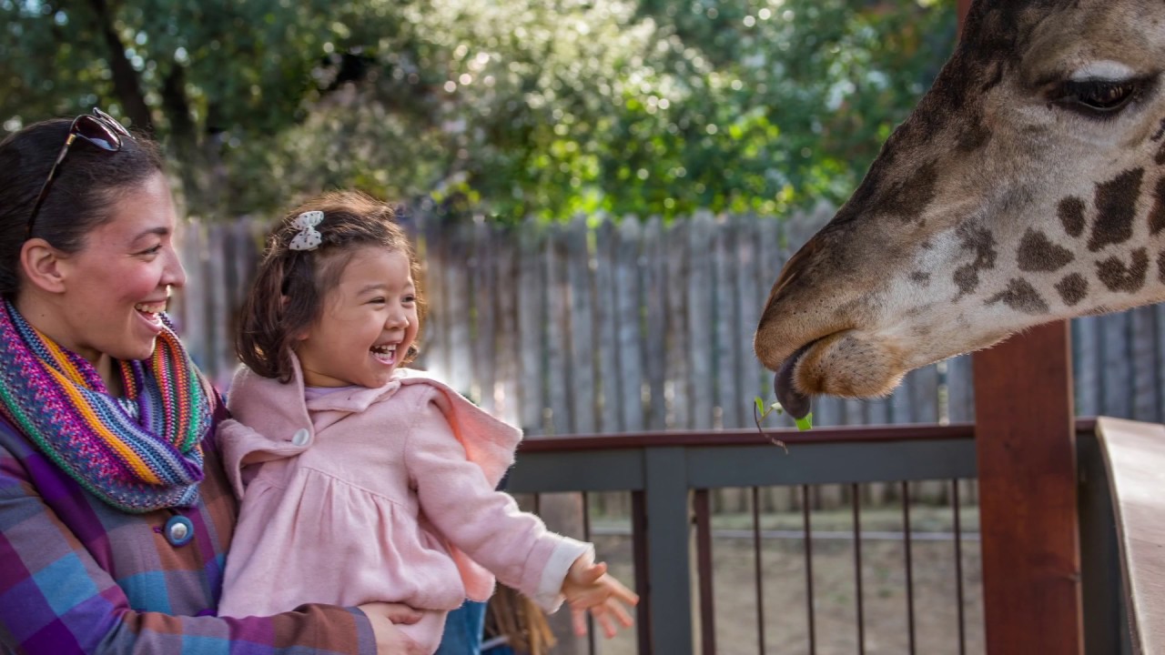 The Future of Sacramento Zoo