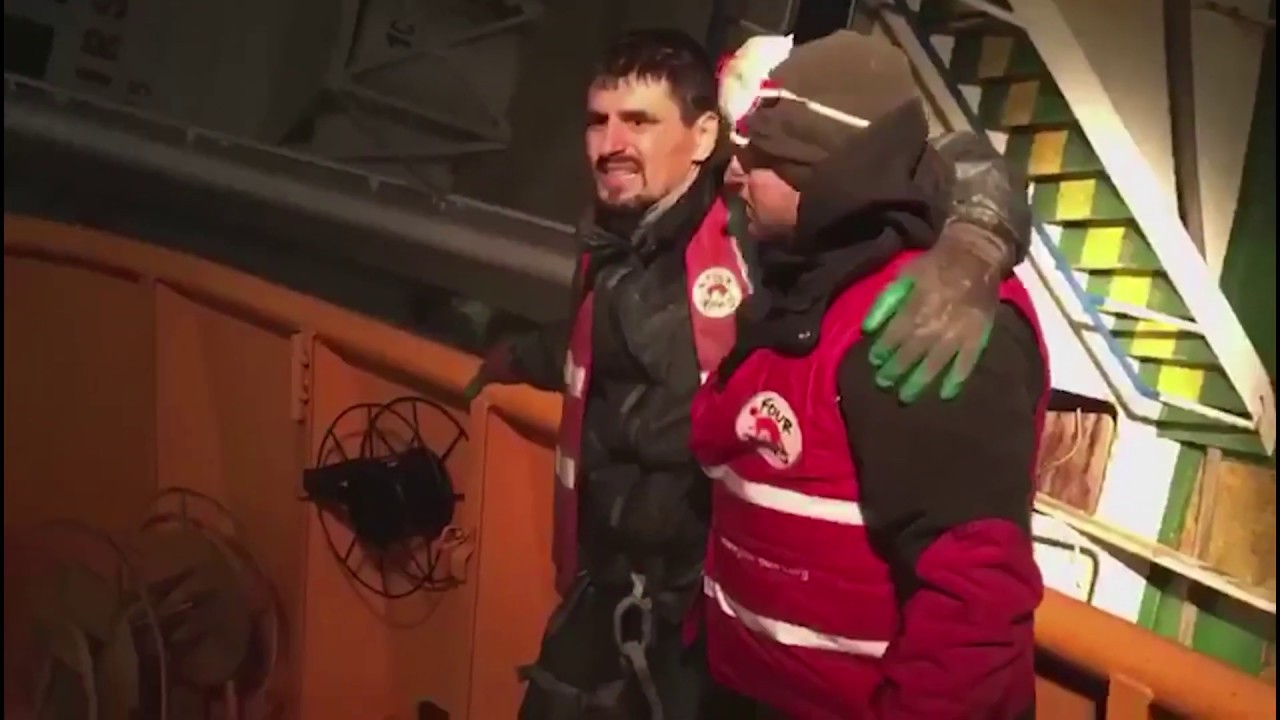 Rettung der Schafe vom gekenterten Schiff | VIER PFOTEN | www.vier-pfoten.at
