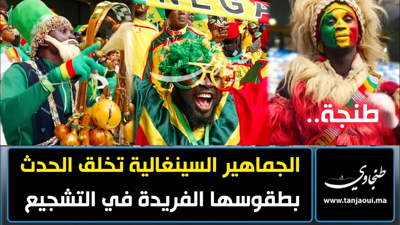 طنجة.. الجماهير السينغالية تلهب مدرجات ملعب ابن بطوطة بطقوسها الفريدة في التشجيع