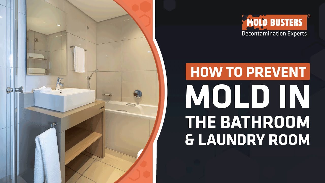 How To Prevent Mold In Bathroom & Laundry Room - Mold Busters