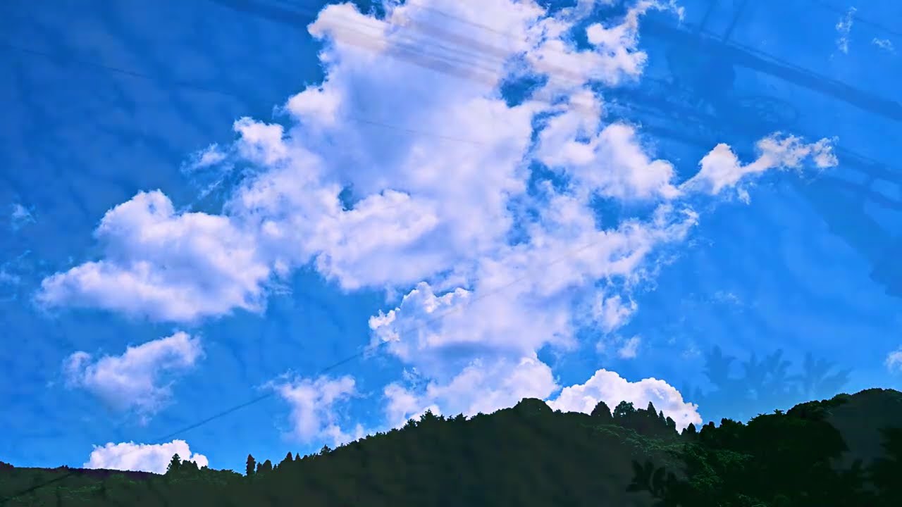 夏の思い出