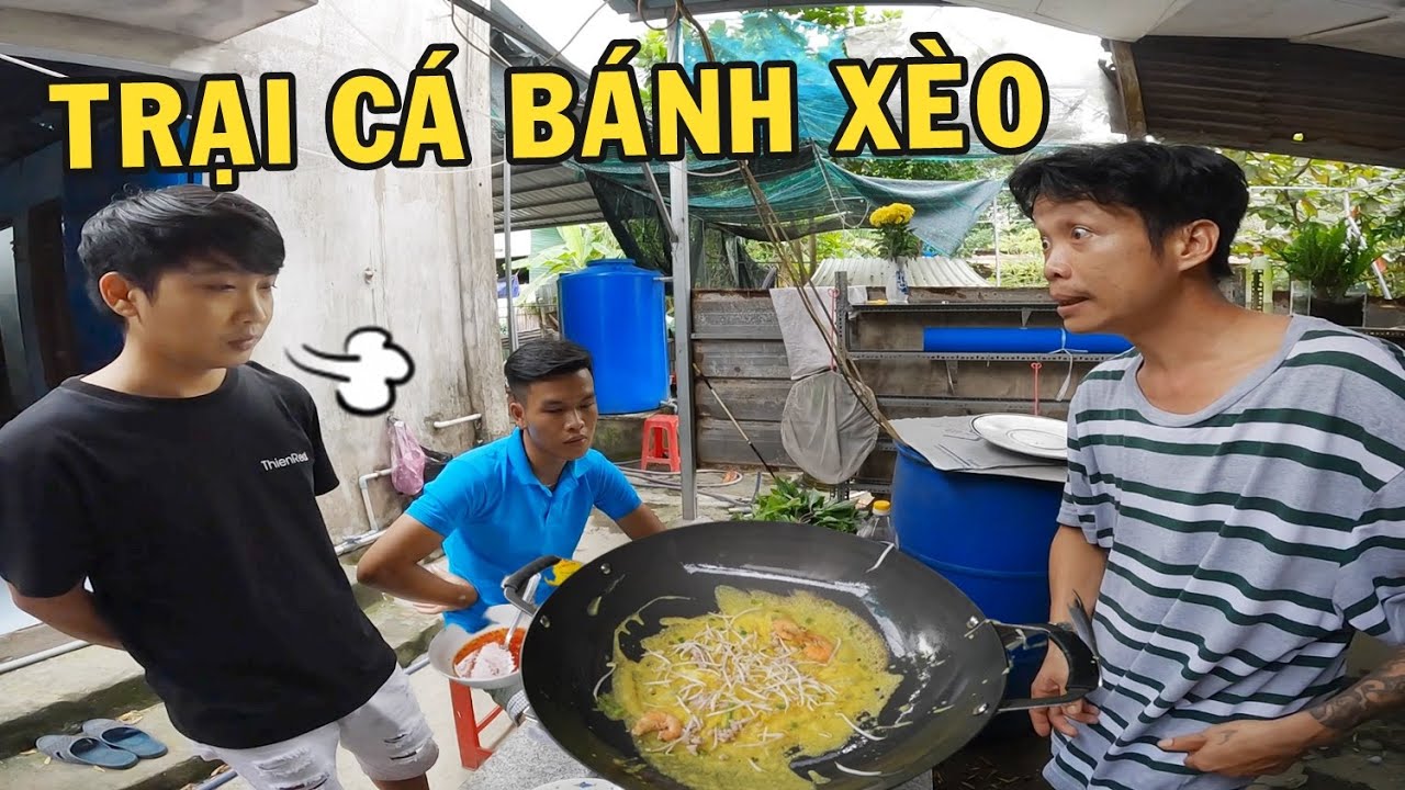 Trại Cá Bánh Xèo của Anh Nhí Betta bắt đầu từ đâu? cười không nhặt được mồm