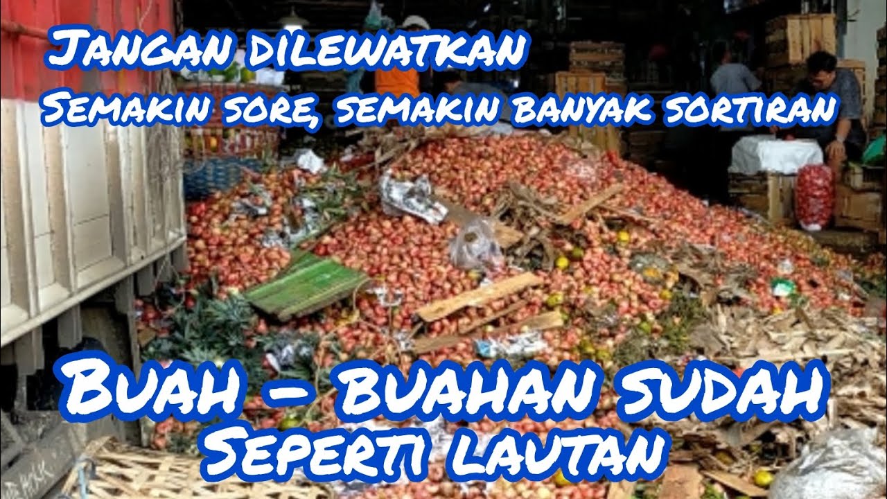 SEMAKIN SORE, SEMAKIN BANYAK SORTIRAN 😱😭🥰🥰😇