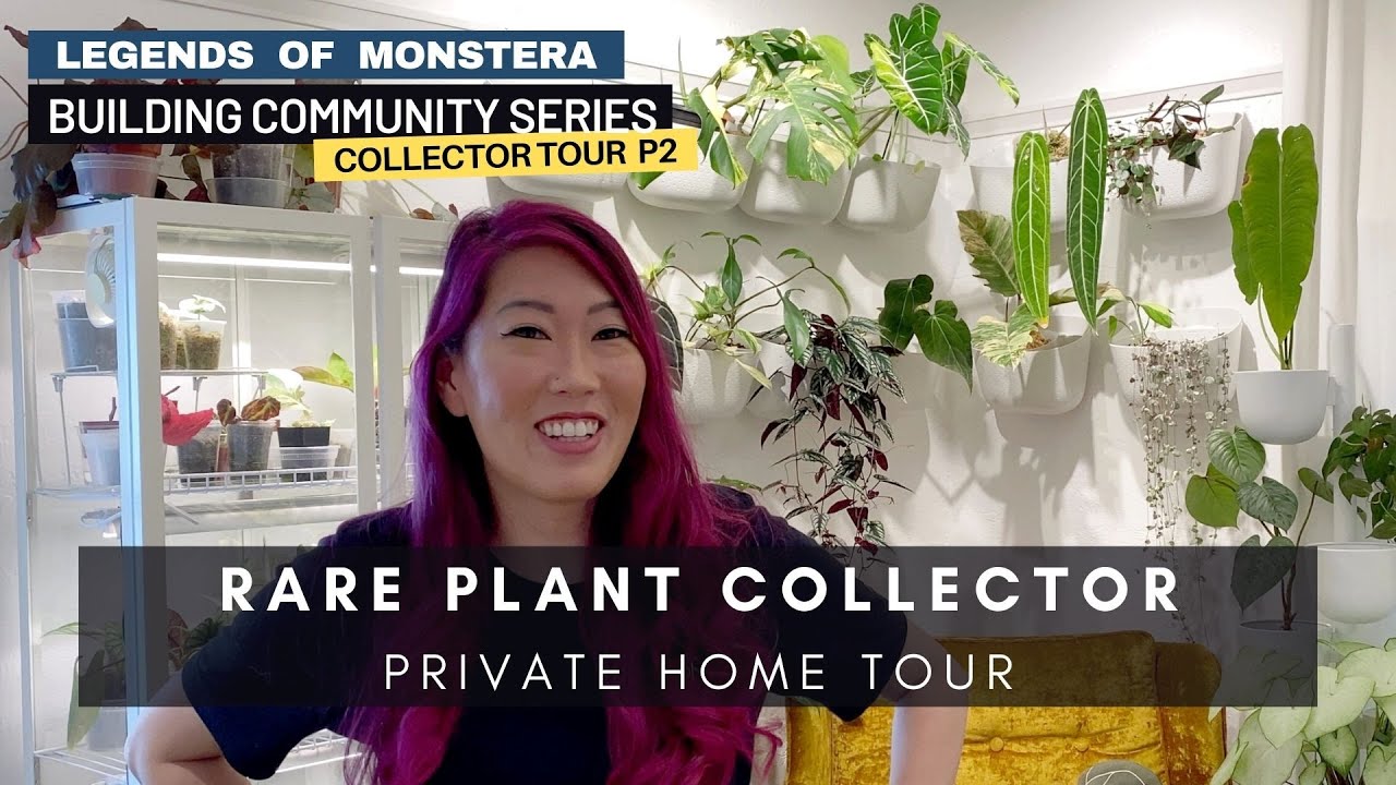 P2. Plant Tour with Rare Houseplant Collector & Facebook Moderator | Building Community Series