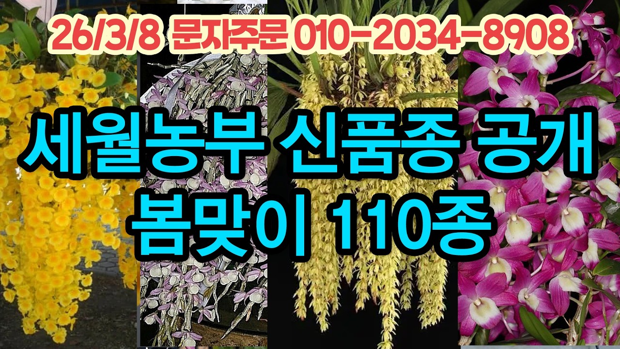 세월농부 신품종 공개 봄맞이 110종 채널고정