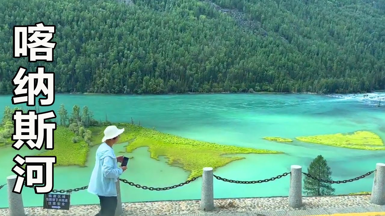 进入喀纳斯湖景区，还要坐30公里的观光车，在景区转了7个小时，路上都是风景，太美了！【一个人穷游中国】