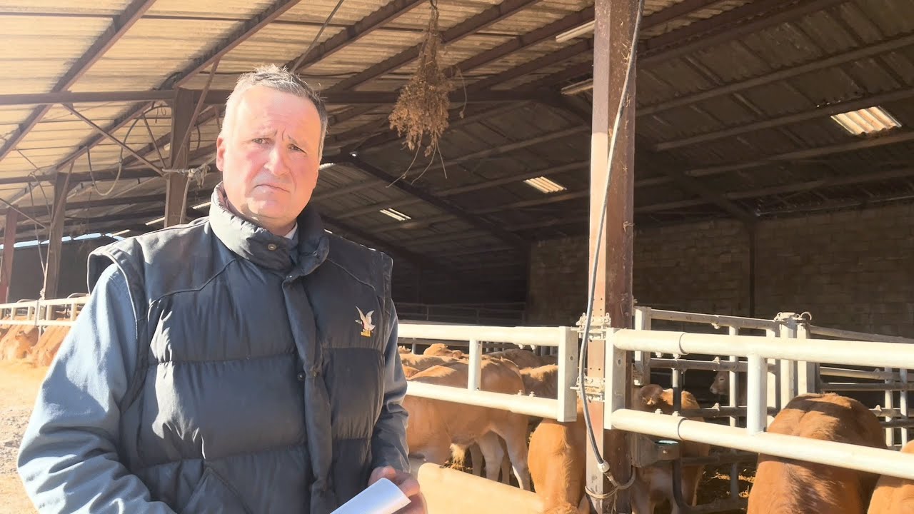 Témoignage de Christophe Duhalde - Engraisseur de taurillons